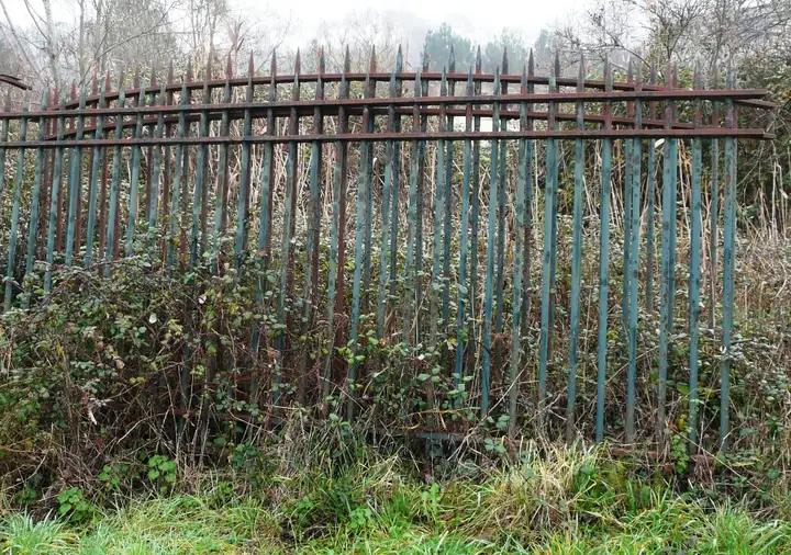 Grille de parc en fer