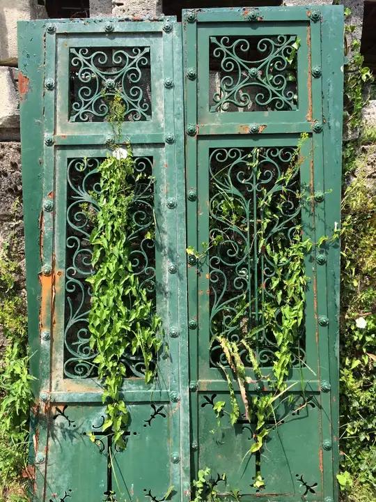 Double portes en fer