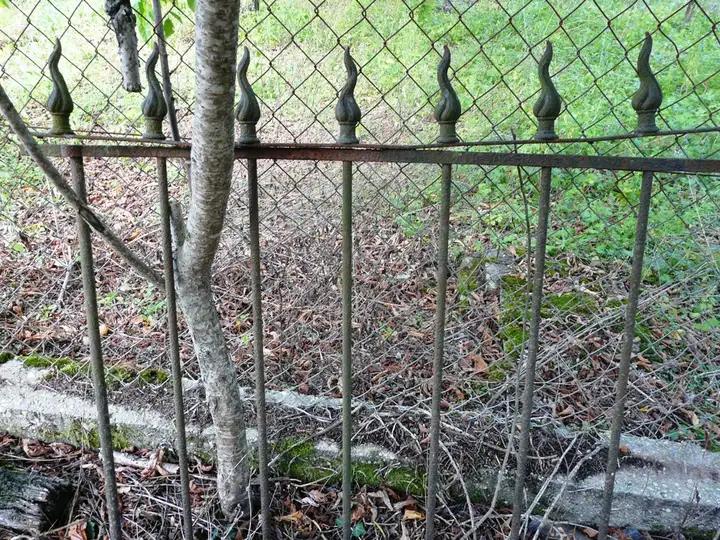 2 panneaux de grilles décorés de pointes de fonte "queue de cochon"