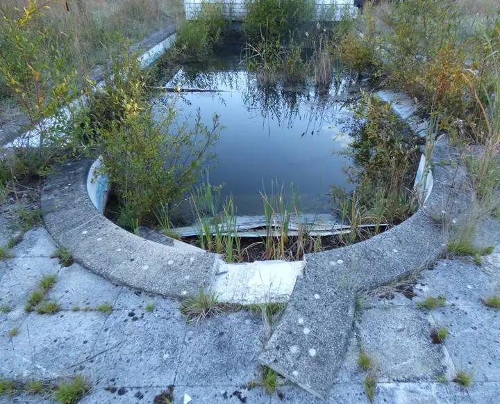 Margelle de piscine en pierre