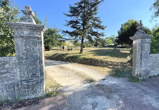 Paire de piliers anciens en pierre de Saintonge. Entrée de propriété décorée d'une corniche de de dessus de piliers sculptés. La facade est décorée d'une plat de bande et d'un socle á boudin monolithe. Une feuillure de 7 cm est prévue pour recevoir un portail