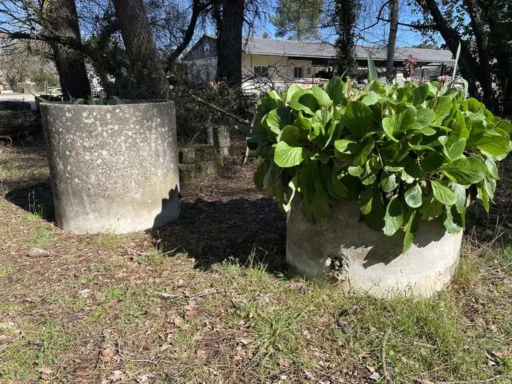 Ponne en beton de forme cylindrique. Receptacle rond pour plantes ou eau. Bassin de reception pour eau de pluie. Epaisseur de la cloison : 6cm