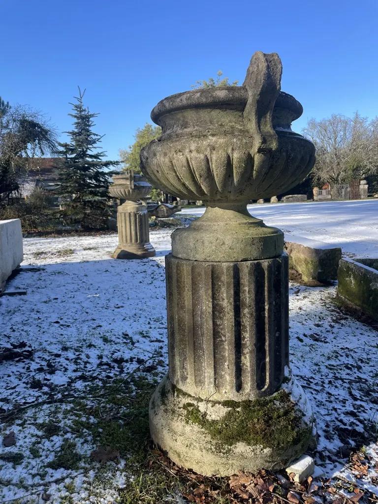 VASES MEDICIS