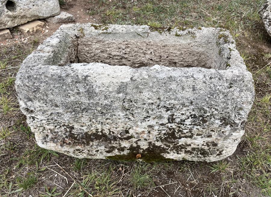 Petit bac ancien en pierre coquillère
