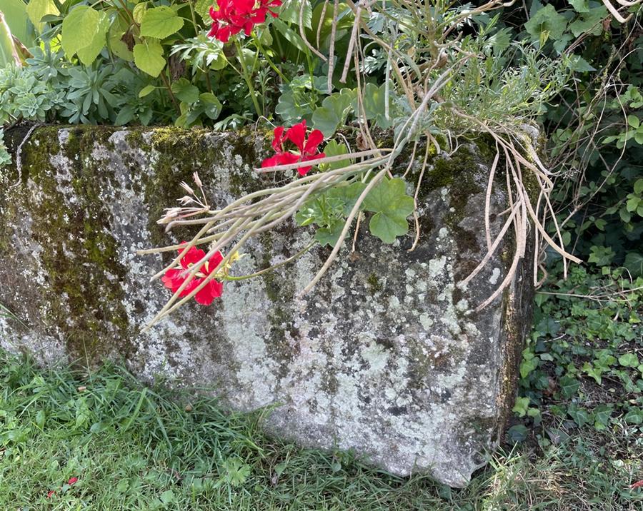 Bac ancien en pierre dure de Cognac