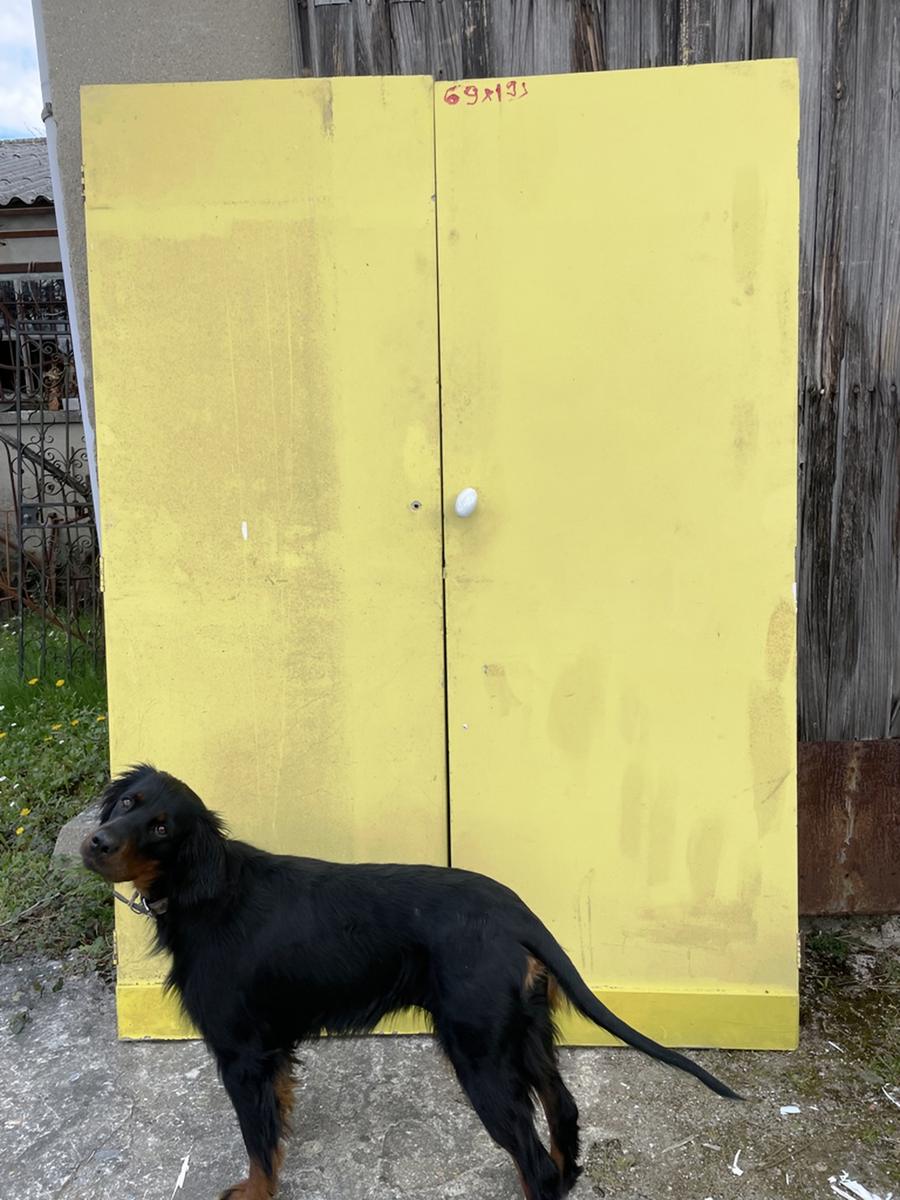 placard à deux portes