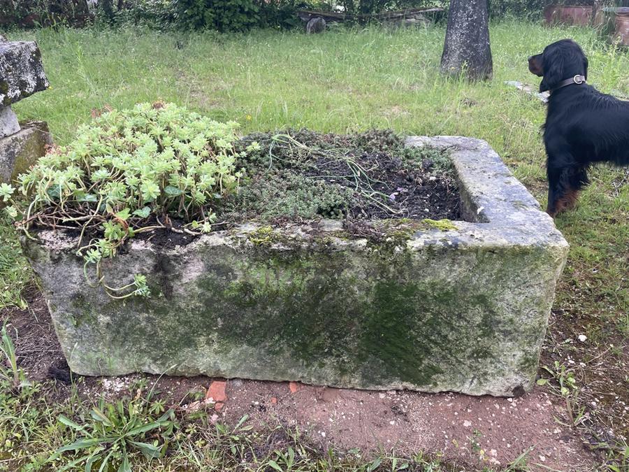 Ancien bac en pierre. Abreuvoir de ferme pour animaux. Réservoir étanche pour retenir l'eau du puits. Auge pour plantes aquatiques ou araumatiques