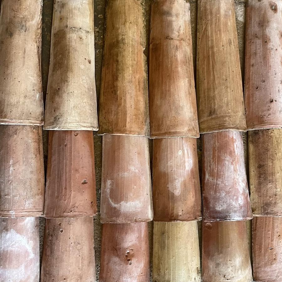 Tuiles de Gironde tige de botte